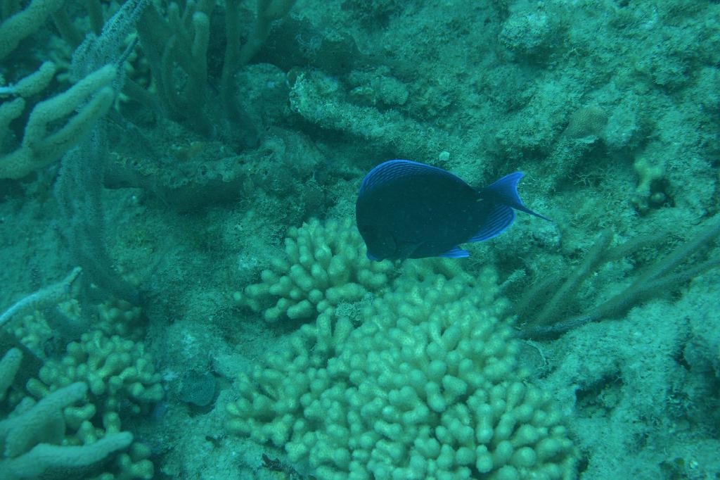2008-05-17 17-32-10 H.JPG